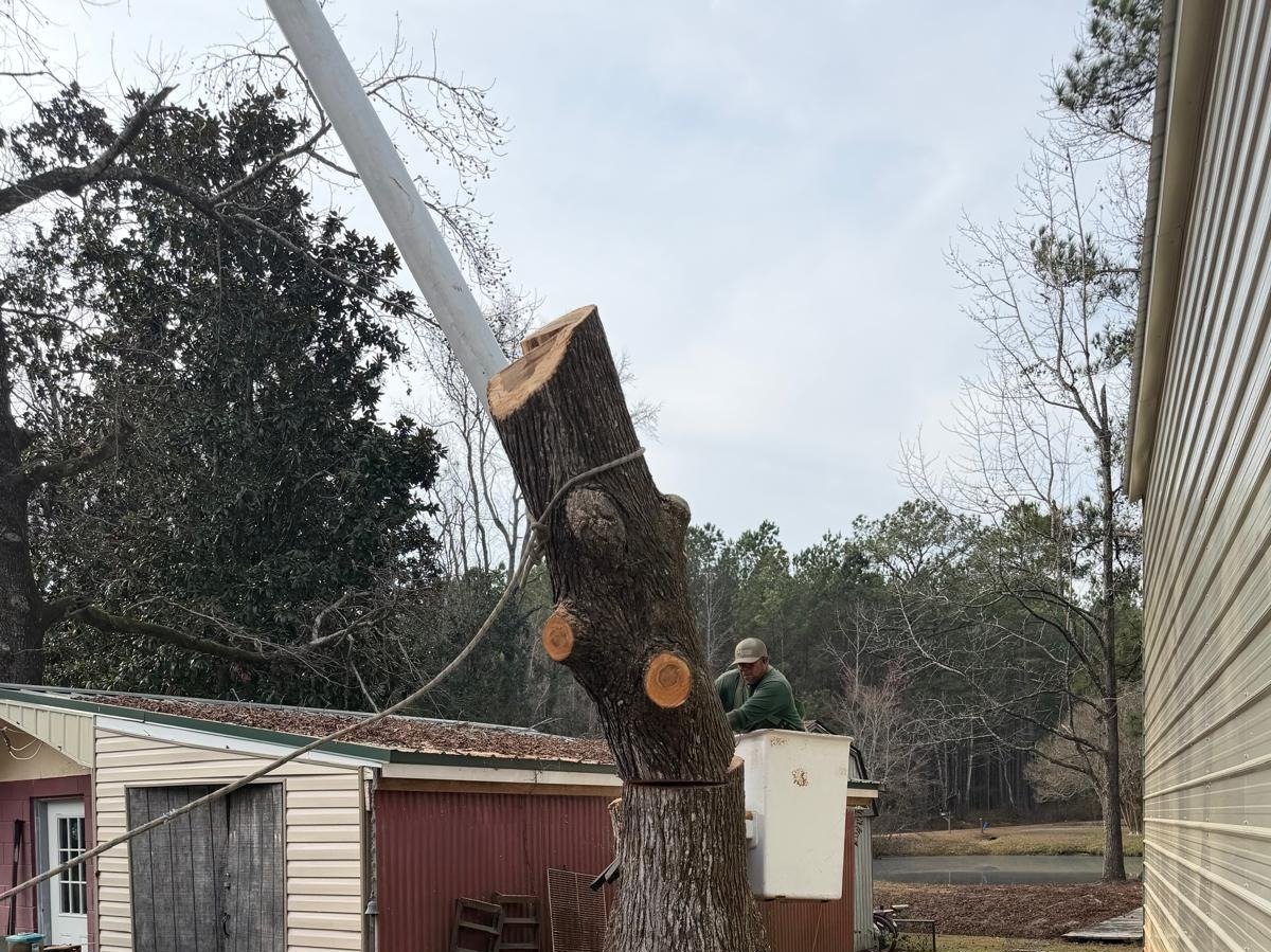 El Costeño Tree Service LLC